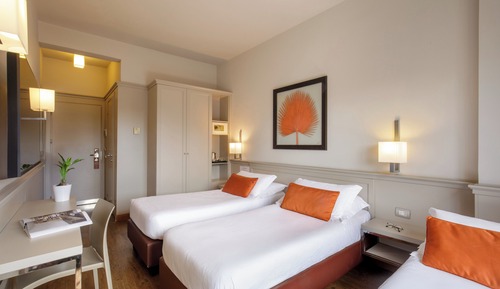 Superior Double or Twin Room