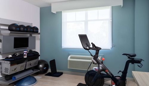 Room, 1 King Bed (Fitness Room)