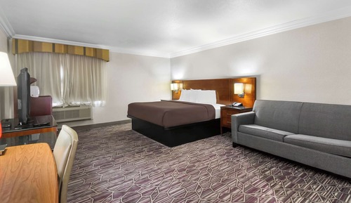 Standard Room, 1 King Bed, Non Smoking, Refrigerator & Microwave (with Sofabed)