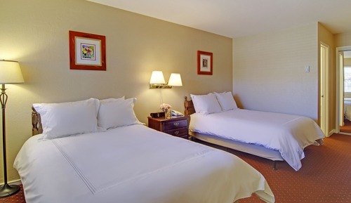 Standard Room, 2 Double Beds (Pet Friendly)