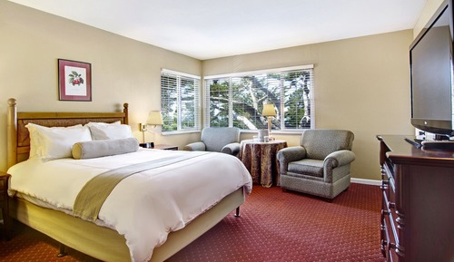 Standard Room, 1 King Bed, Jetted Tub (Pet Friendly)