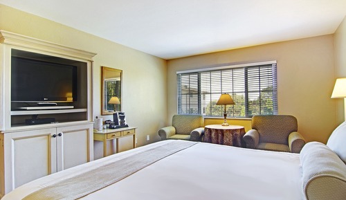 Economy Room, 1 Queen Bed (Pet Friendly)