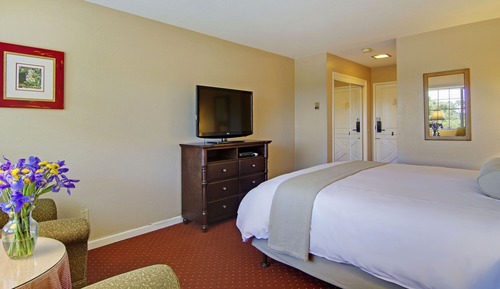 Standard Room, 1 King Bed (Pet Friendly)