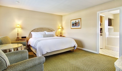 Deluxe Room, 1 King Bed (Non Pet-Friendly)