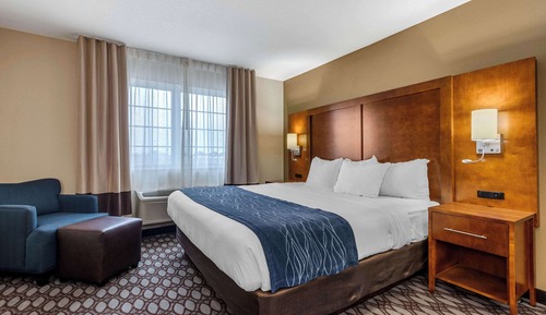 Standard Room, 1 King Bed, Non Smoking