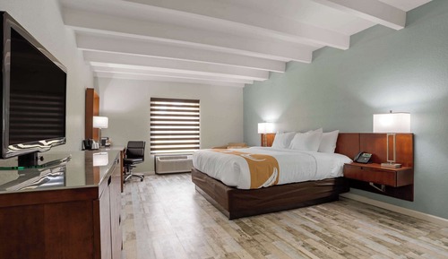 Standard Room, 1 King Bed, Non Smoking