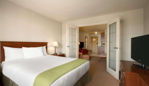 Studio Suite, 1 King Bed, Smoking