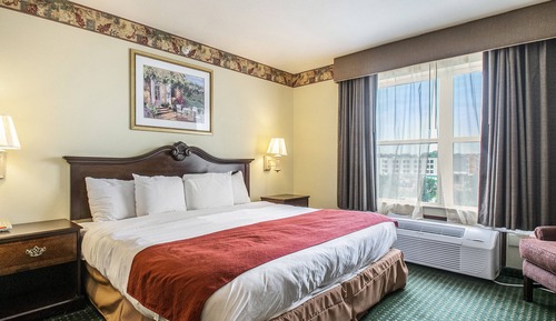 Room, 1 King Bed, Non Smoking