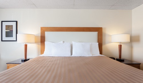 Suite, 1 King Bed, Non Smoking (One-Bedroom)