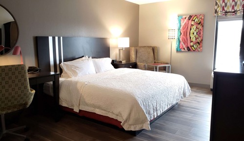 Room, 1 King Bed, Accessible (Roll-In Shower)