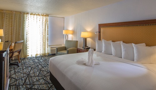 Standard Room, 1 King Bed, Accessible