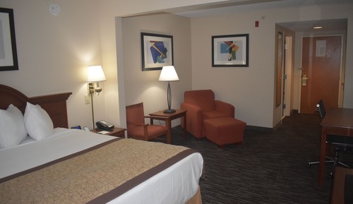 Room, 1 King Bed, Non Smoking (Large)