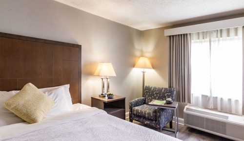 Room, 1 Queen Bed, Non Smoking