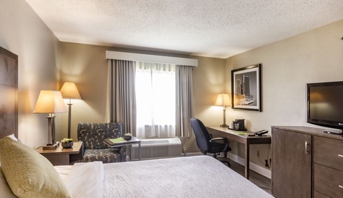 Room, 1 King Bed, Non Smoking
