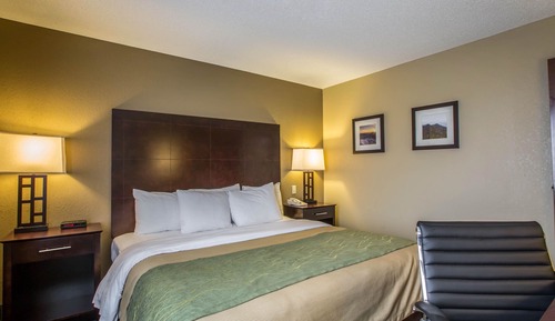 Room, 1 King Bed, Accessible, Non Smoking (Roll-In Shower)