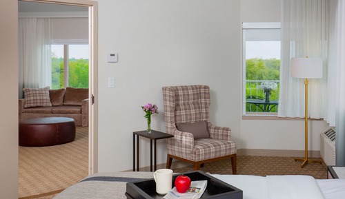 Governor Suite King - No Water Park Included 