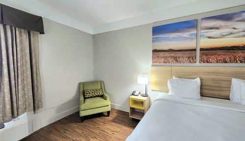 Suite, 1 Queen Bed, Refrigerator & Microwave