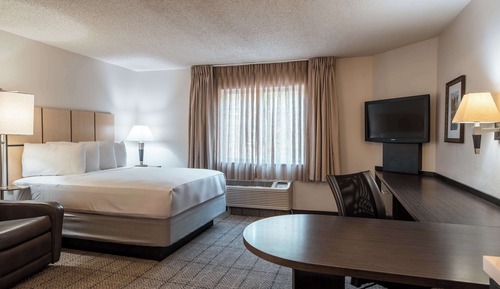 Studio Suite, 1 Queen Bed (Studio)