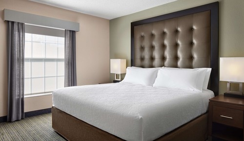 Suite, 1 King Bed with Sofa bed