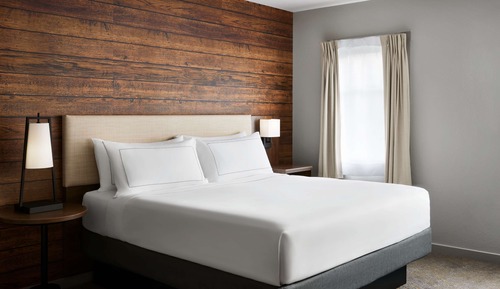 Room, 1 King Bed