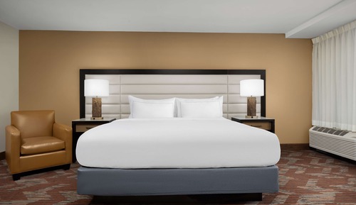 Suite, 1 King Bed