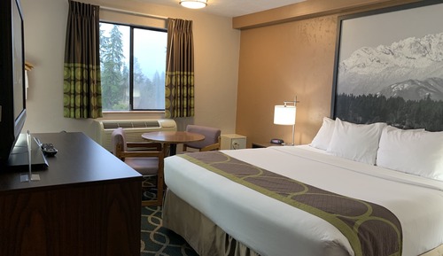 Room, 1 King Bed, Non Smoking