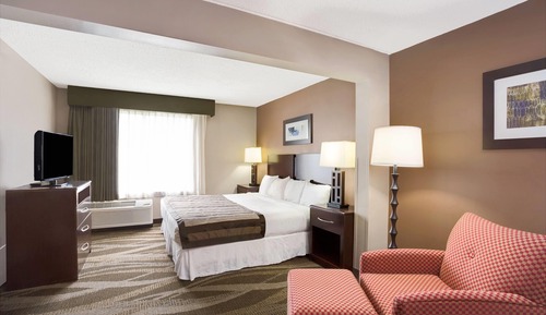 Standard Room, 1 King Bed, Accessible
