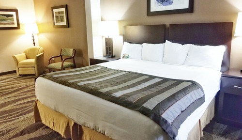 Standard Room, 1 King Bed