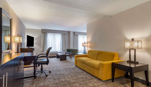 Suite, 1 King Bed, Non Smoking, Refrigerator & Microwave (Shower Only;Larger Room;with Sofabed)