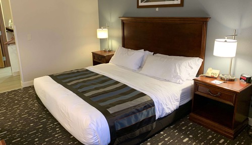 Standard Room, 1 King Bed, Accessible, Non Smoking (Roll-In Shower)