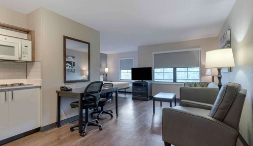 Premium Studio, 1 King Bed with Sofa bed, Non Smoking (Deluxe)