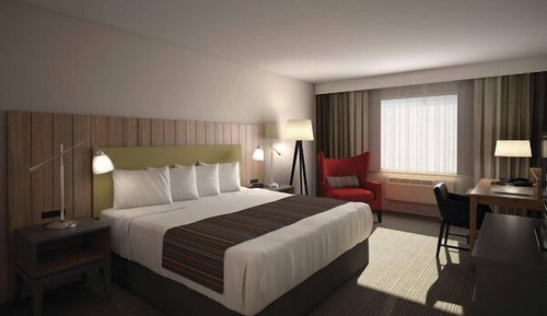 Room, 1 King Bed, Non Smoking