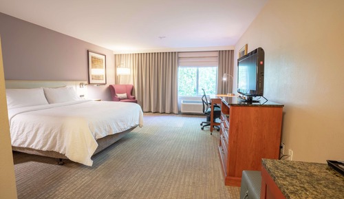 Room, 1 King Bed, Accessible