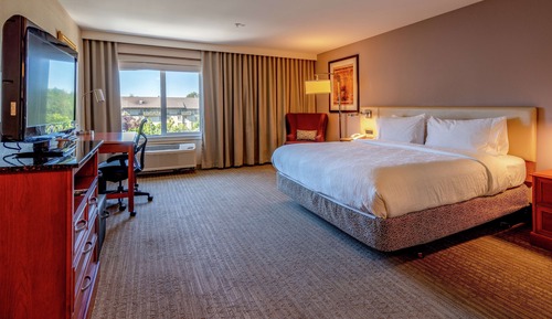 Room, 1 King Bed, Accessible, Non Smoking