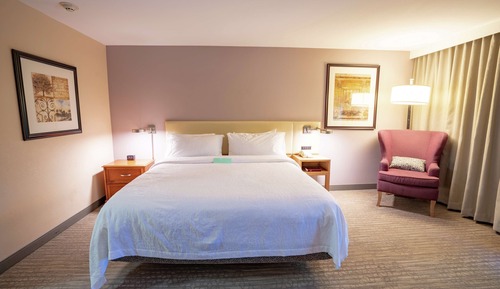 Room, 1 King Bed (Drinks & Snacks)