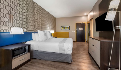 Standard Room, 1 King Bed, Accessible, Non Smoking (Walk-in Shower)