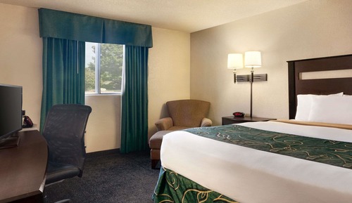 Room, 1 King Bed, Non Smoking
