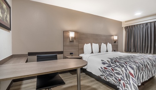 Superior Room, 1 King Bed, Non Smoking