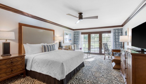 Room, 1 King Bed (Plaza)