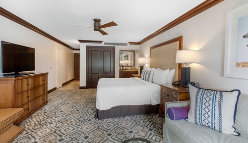 Room, 1 King Bed (Accessible, Vista View)