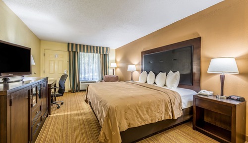 Standard Room, 1 King Bed, Non Smoking