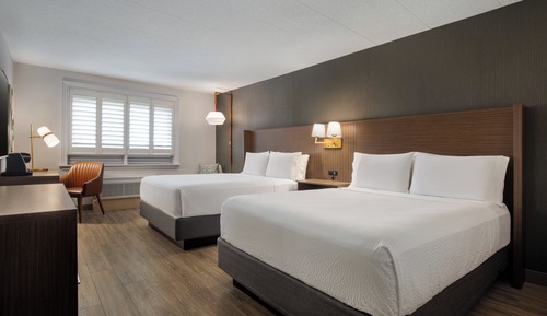 Suite, Multiple Beds