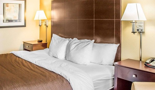 Standard Room, 1 King Bed, Accessible, Non Smoking