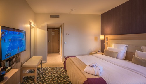 Deluxe Room, 1 Double Bed, Park View