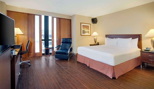 Room, 1 King Bed, Accessible, Allergy Friendly