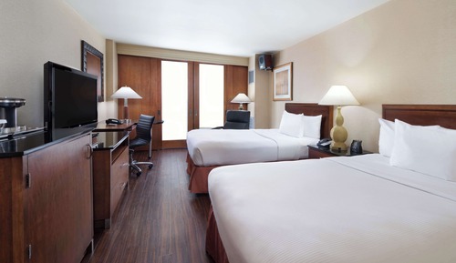 Business Room, 2 Double Beds