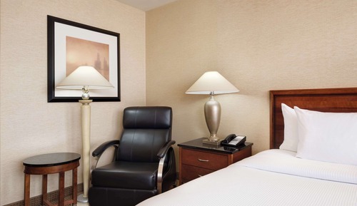 Allergy Friendly - 1 King Bed