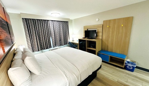 Room, 1 King Bed, Accessible, Non Smoking (Mobility Room, Bathtub W/ Grab Bars)