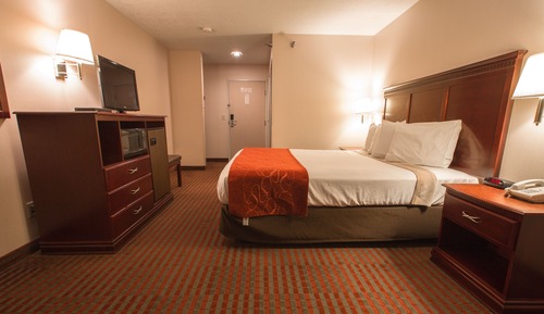 Standard Room, 1 King Bed, Non Smoking