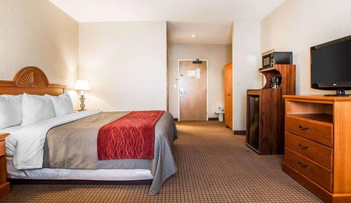 Standard Room, 1 King Bed, Non Smoking